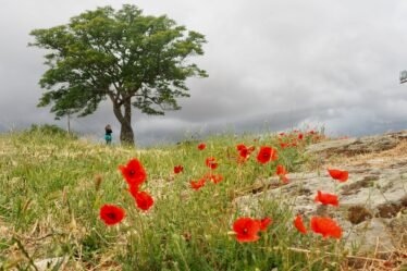 Travel slow - spend time in nature