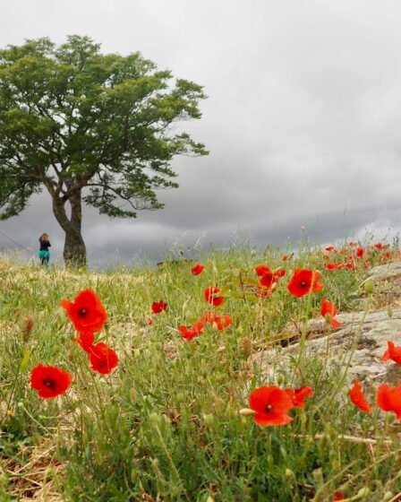 Travel slow - spend time in nature