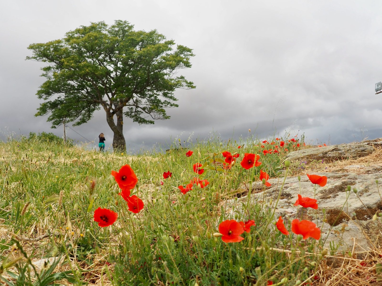 Travel slow - spend time in nature